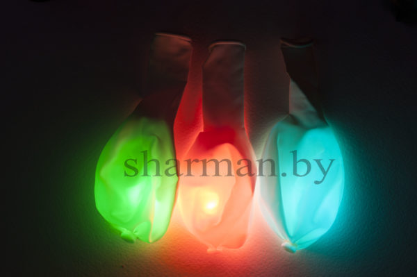 хам с кнопкой